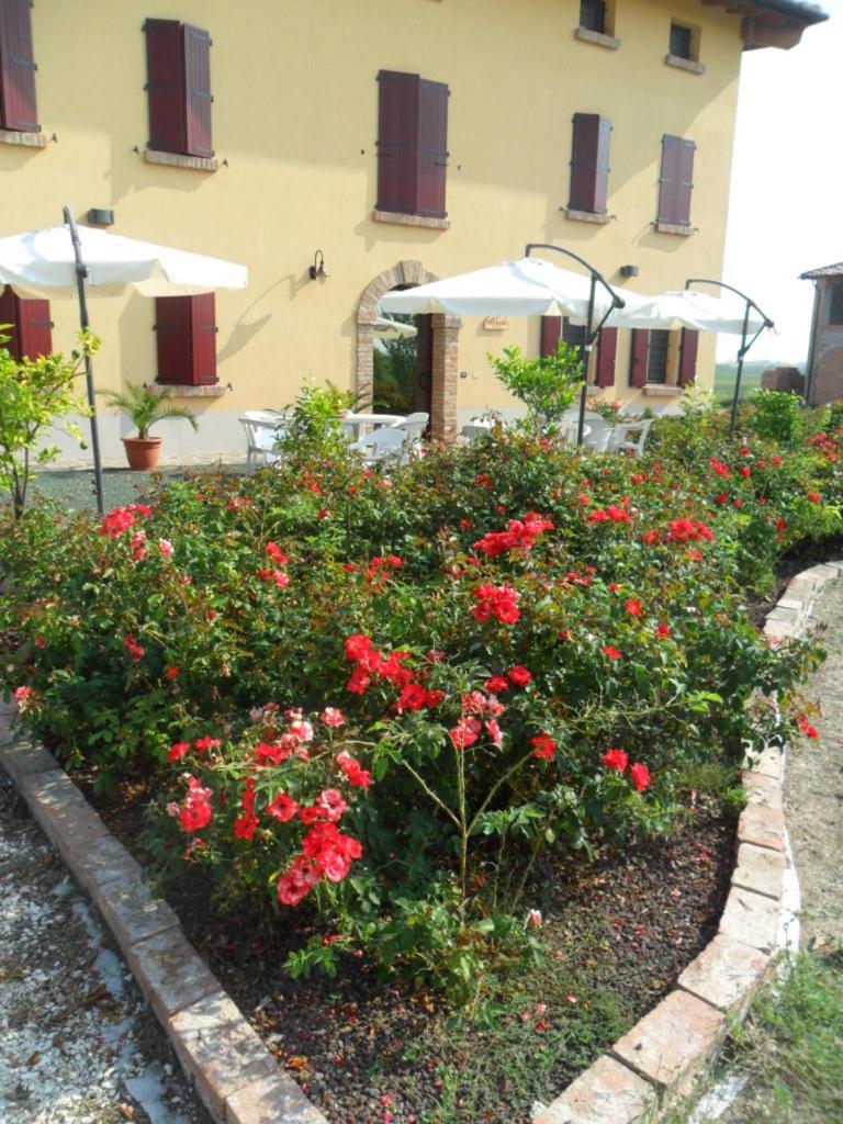 Agriturismo Al Navile Malalbergo Luaran gambar