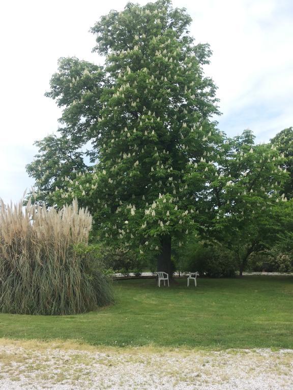 Agriturismo Al Navile Malalbergo Luaran gambar